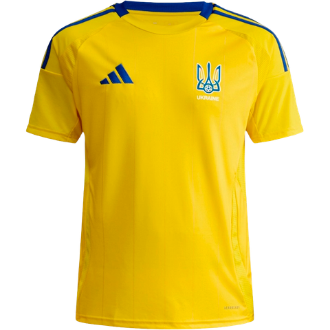 Україна 2025 домашня