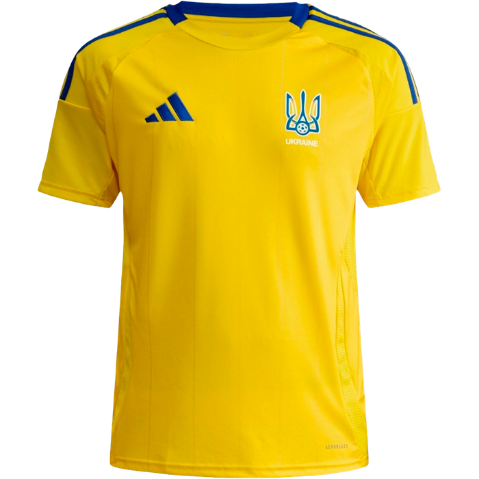 Україна 2025 домашня