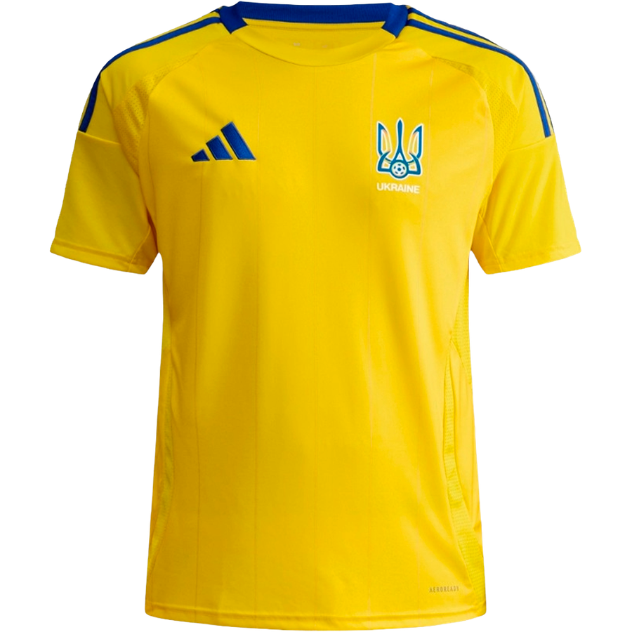 Україна 2025 домашня