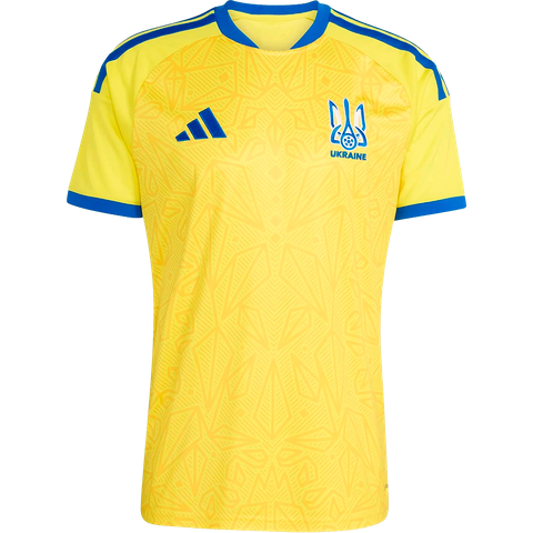 Україна 2026 домашня